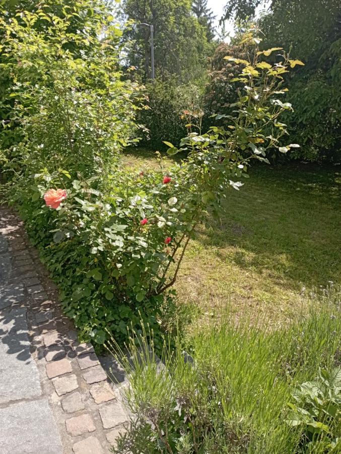 Ferienwohnung Obergeschoss - Katharina Von Berg Rottweil Exterior foto